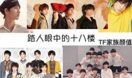 内娱男爱豆最新爆料,揭秘娱乐圈幕后真相与心酸历程