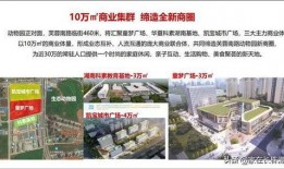 长沙市最新爆料,揭秘城市热点事件背后的真相”